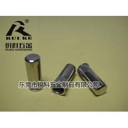 銳科五金 高品質(zhì)不銹鋼鉚螺母與裝飾材料的可靠供應商